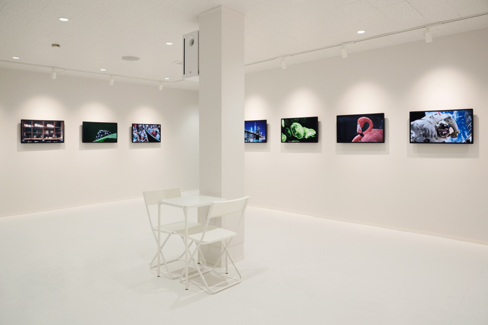 Gallery ANBAI. 展示空間