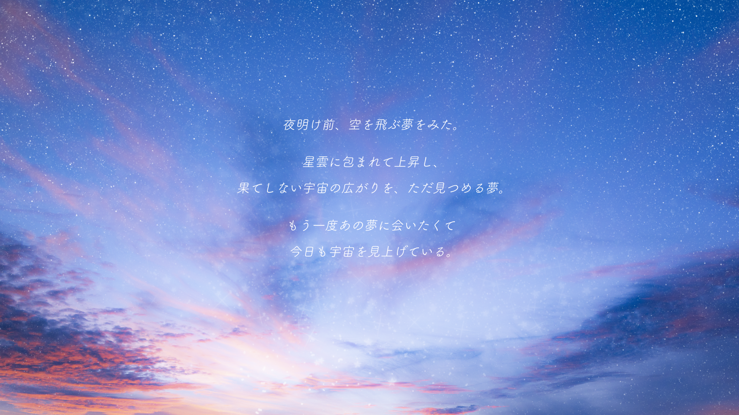 Display 03 小西萌絵 Starry Night