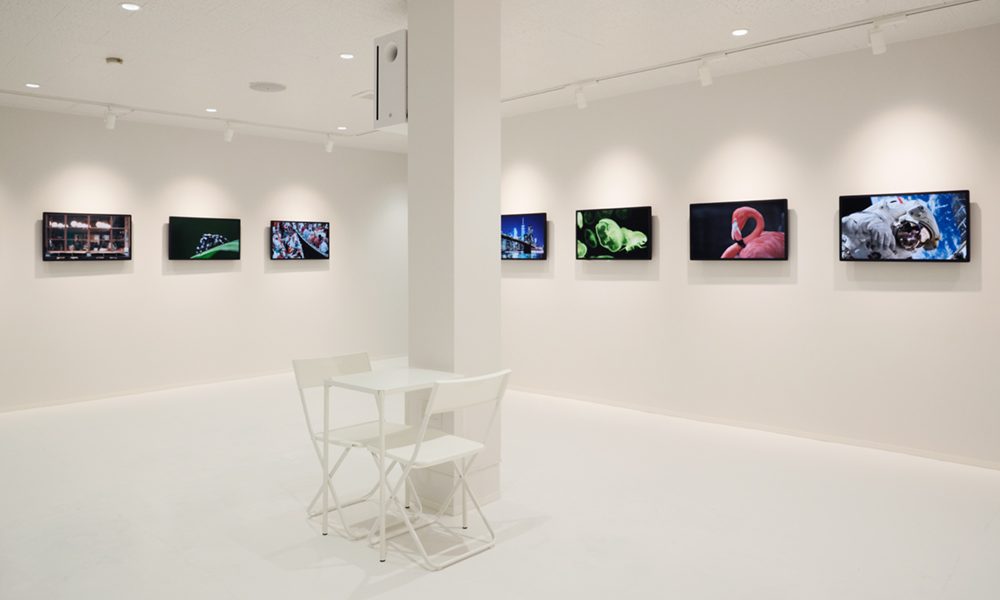 GalleryANBAI_002