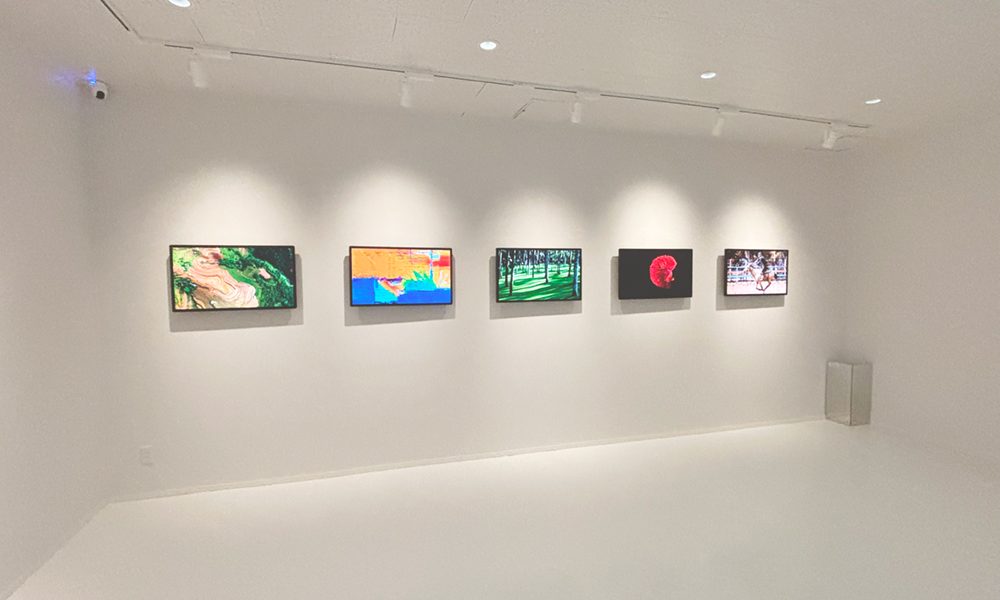 GalleryANBAI_003