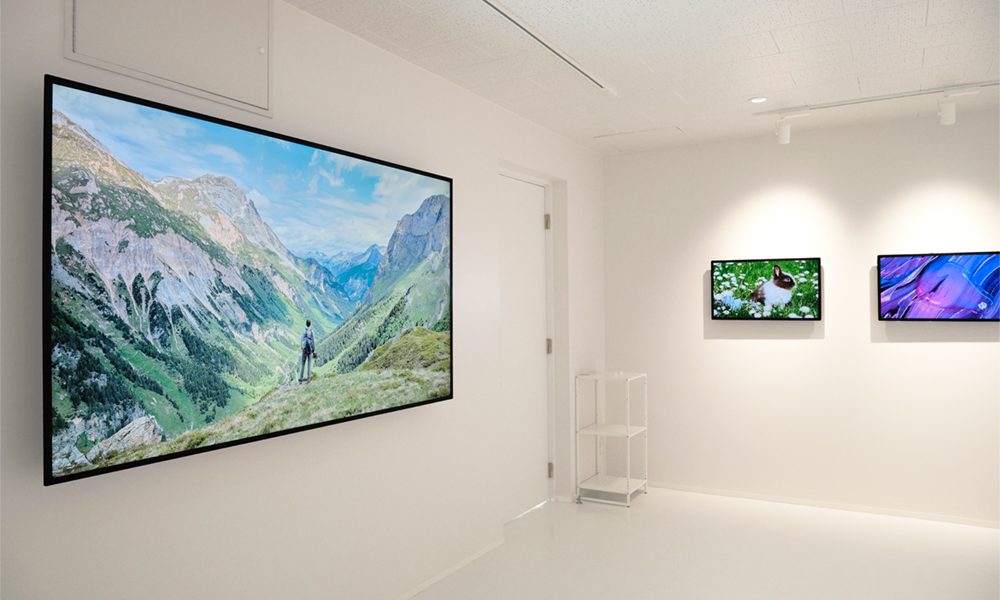 GalleryANBAI_005