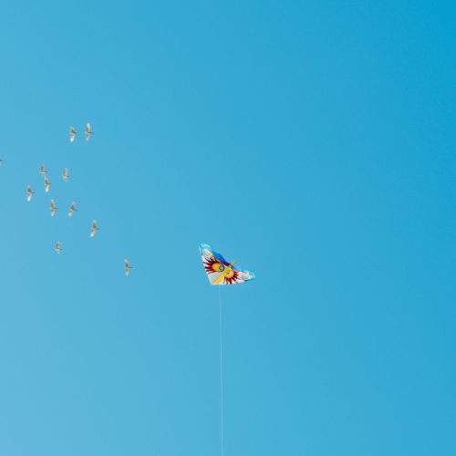 y039